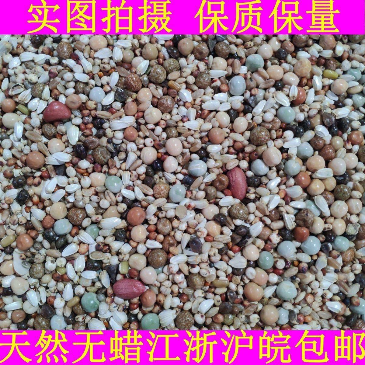 鸽粮50斤包邮A级无玉米幼鸽鸽子粮食粮良德易赛鸽肉鸽观赏鸽鸟食
