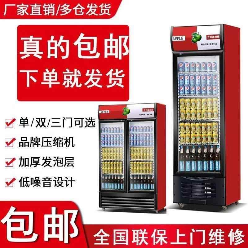 红酒饮料柜冷藏展示柜立式商用单门保鲜柜冷柜带锁带灯双门啤酒柜