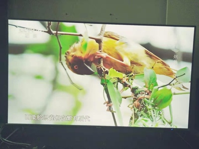 【画质对比】康佳55G10U和东芝55U5850C哪个好，原来优点和缺点有这些