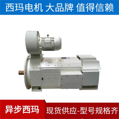 双轴伸电机 TH三防 泰富Z4系列Z4-225-21 45W 440V直流电机