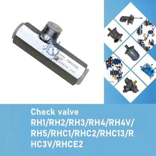 Check valve RHRH1-RH2-RH-RH4-RH4V-RH5-RHC1单向阀