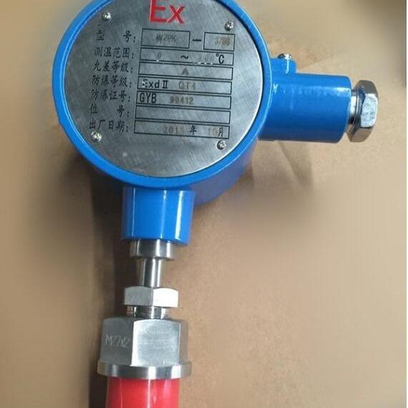 防爆铂热电阻温度计PT100温度传感器wzp-231/245电偶温度变送器