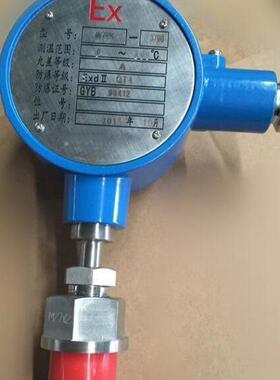 防爆铂热电阻温度计PT100温度传感器wzp-231/245电偶温度变送器