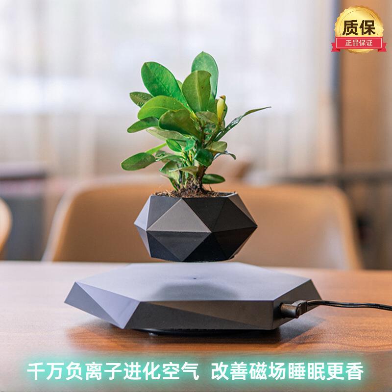 跨境磁悬浮盆栽花创意盆景植物负离子净化器进化空气家居办公摆件
