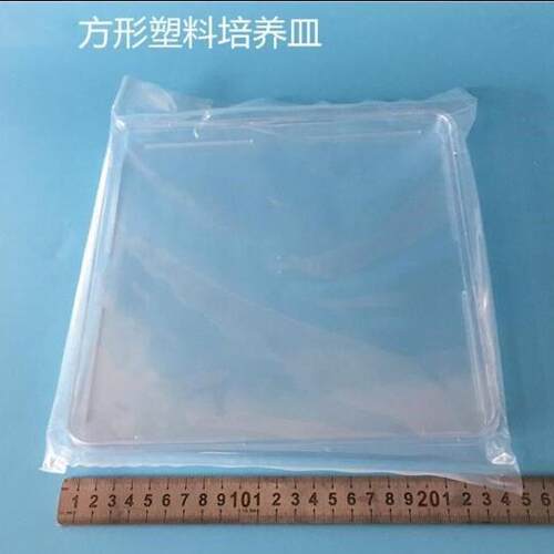 250*250mm方形细胞培养皿 240*240mm 菌体平皿 1套/包
