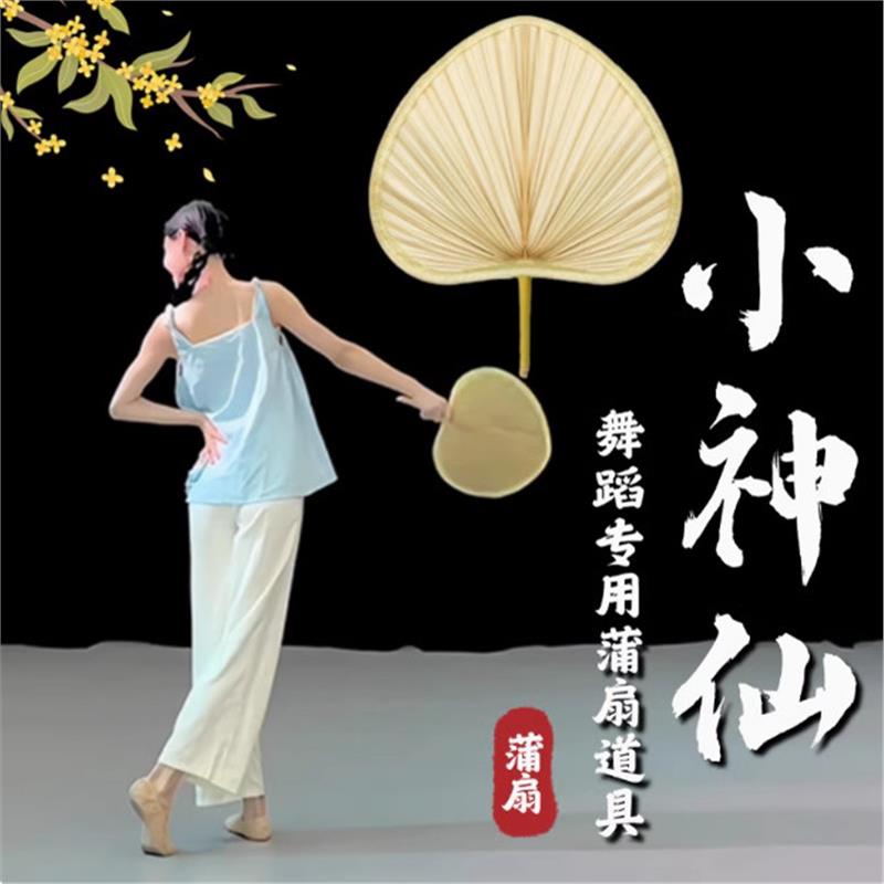 蒲扇摇过的夏天舞蹈道具小神仙舞蹈扇子小荷风采一荤一素夜泊秦淮