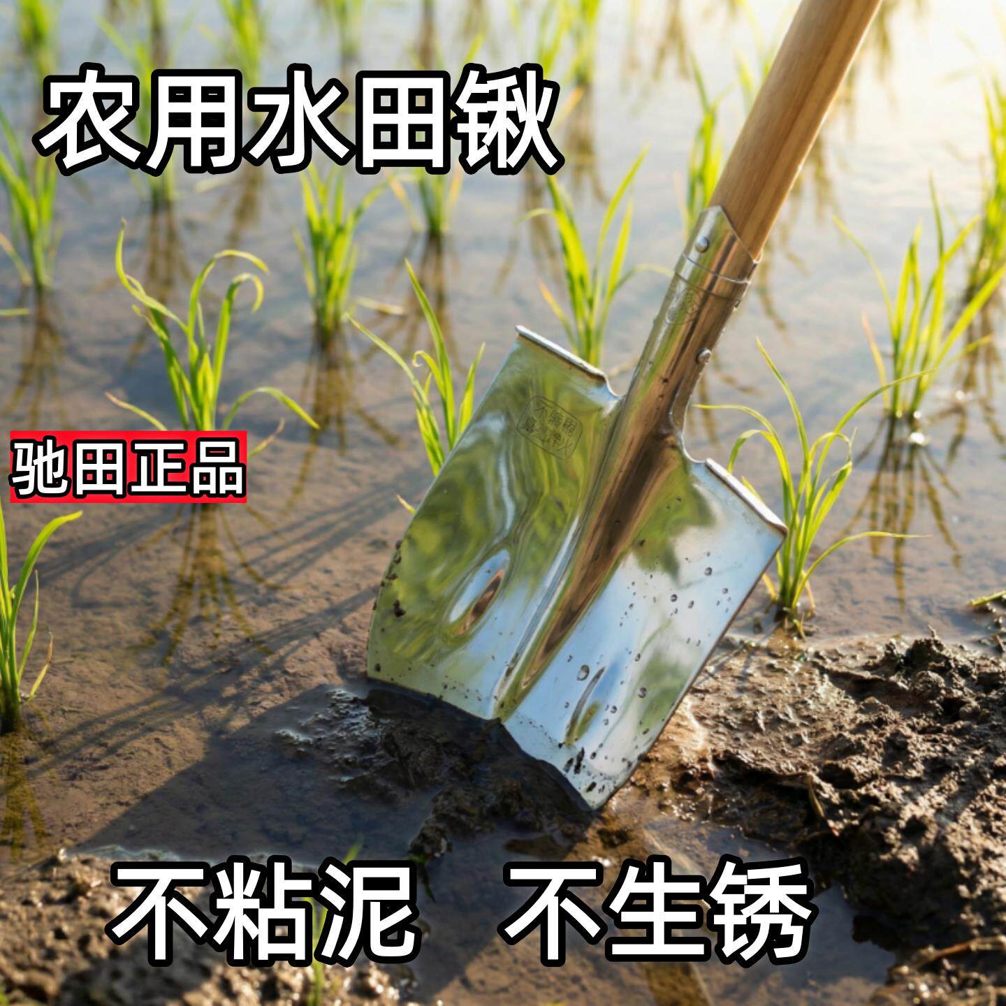 驰田不锈钢锹水田专用铁锹高硬度农用家用挖土锹镜面抛光不沾泥铲