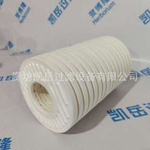 27滤芯 27滤芯PA5600318BG27 B27 27滤油机离线过滤器滤芯A2X27