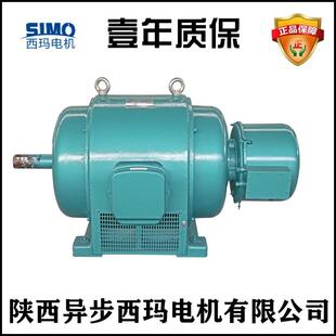 10C280KW380V JS系列三相破碎机电动机高原G型泰富西玛YQ138