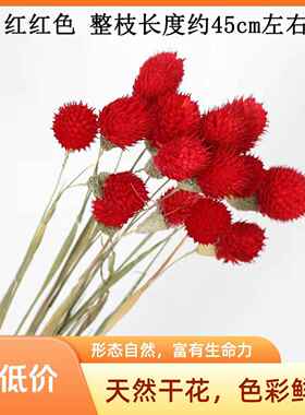 草莓果千日红新款干 干燥花花束天客厅装饰摆件彷真假花情人节生