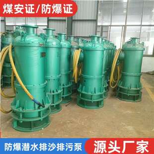 厂家直供bqs矿用隔爆型潜水排沙泵 BQS190-180/3-160KW防爆污水泵
