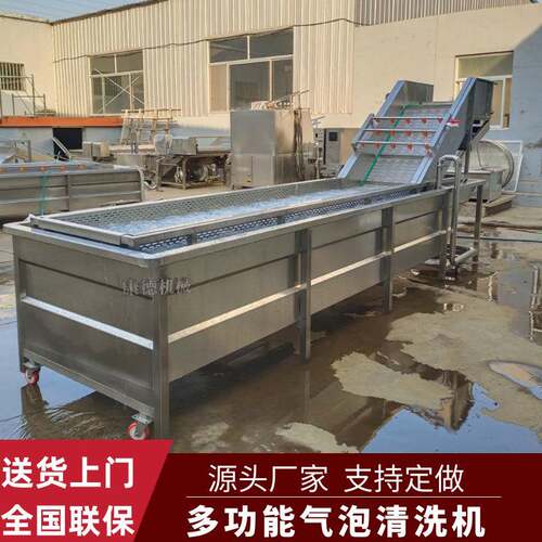 自动进出料大型叶菜洗菜机菌类蘑菇气泡清洗机腌黄瓜气泡清洗机