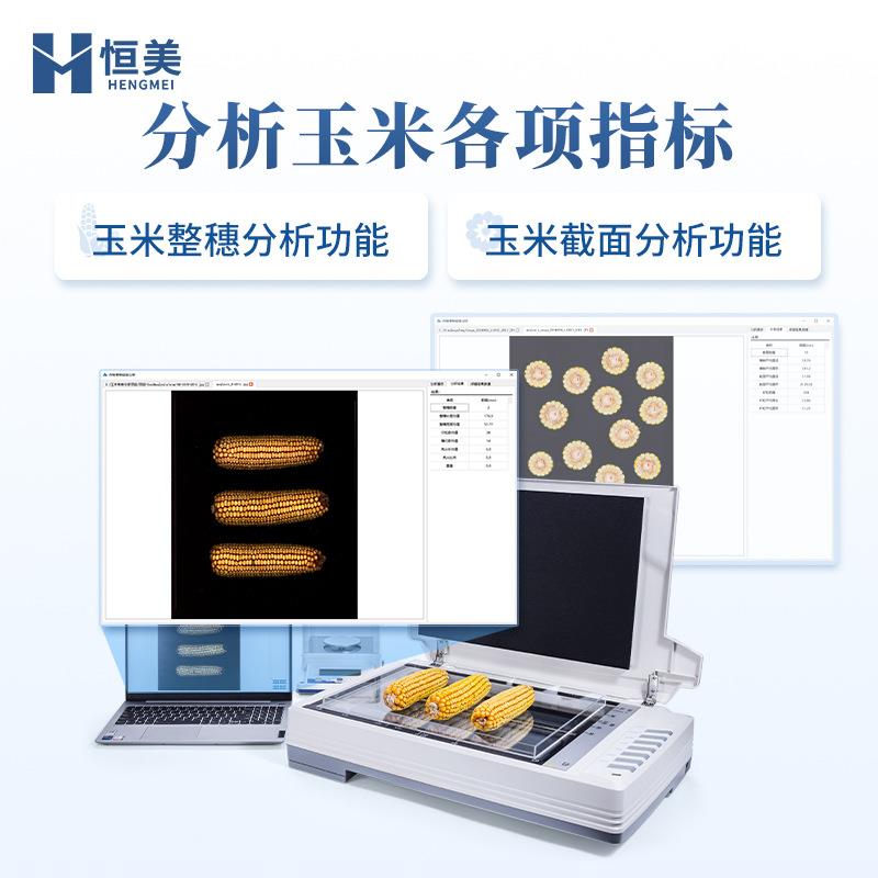 玉米考种分析系统自动玉米籽粒整穗截面快速分析胚尖数量千粒重仪