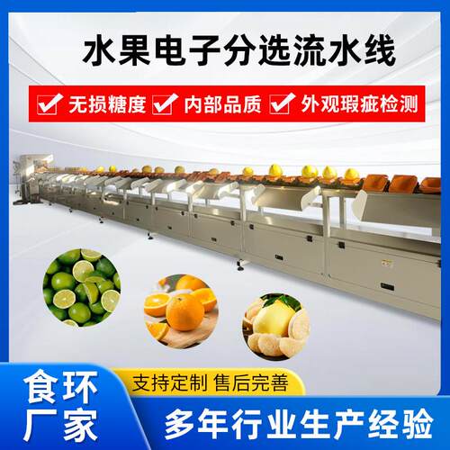 水果电子分选流水线柚子重量分级机智能水果筛选机电脑选果机