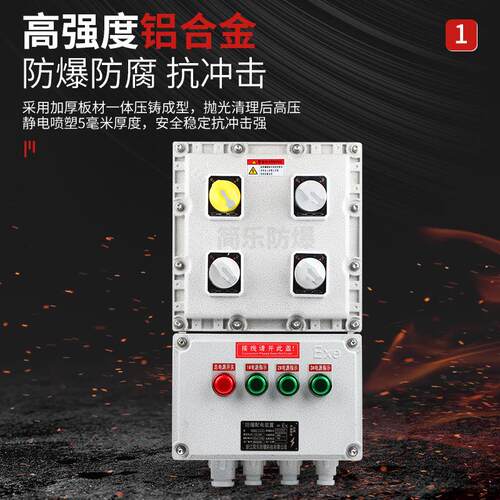 E电x箱两回路防爆照明配修电箱配电装置配柜动力检开关移动