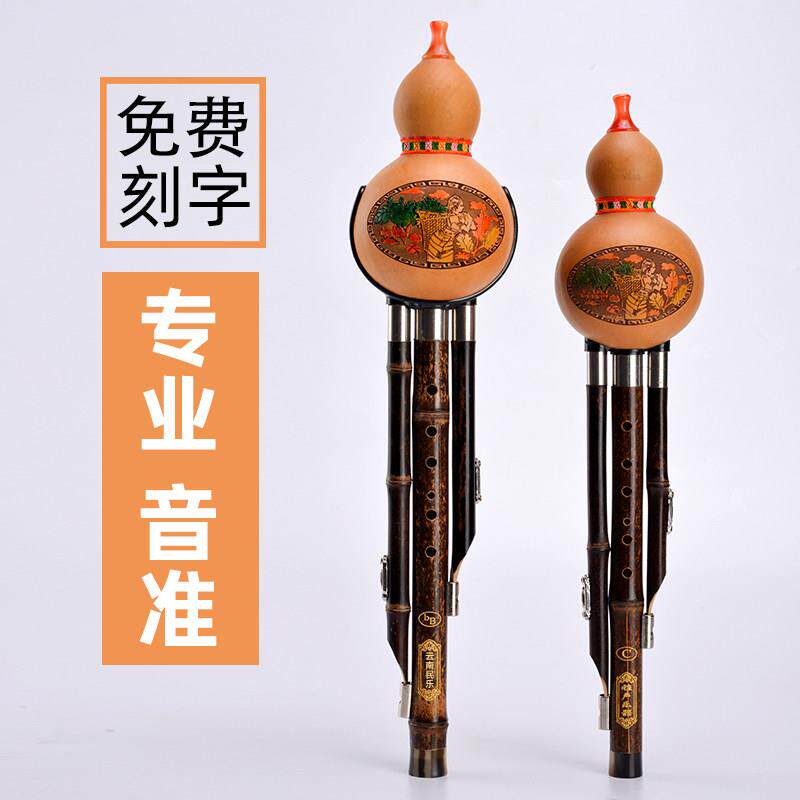 七孔天然紫竹葫芦丝c调专业降b调f调g调A调小d调初学小学生儿童