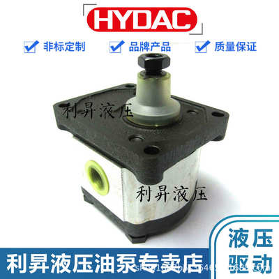 贺德克HYDAC Technology 齿轮泵 PGE101-100/250/500-RBQ1-N-3700