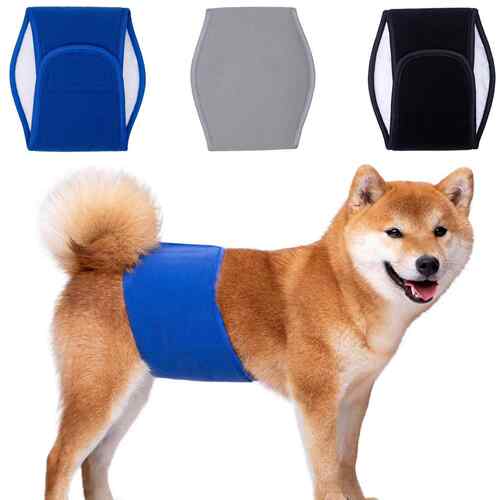 跨境宠物礼貌带狗狗生理裤公狗专用生理带宠物狗尿裤尿片大型犬