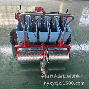 农用走大蒜播机蒜瓣点播种手推大蒜播JLT蒜种机173柴油机自式 种种