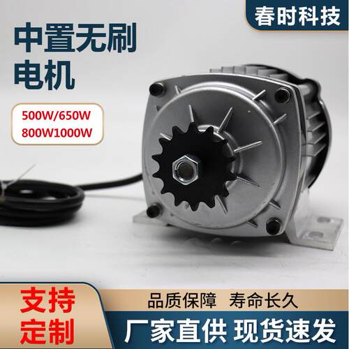 中置电中置无刷机大功马达800W-100W电动三率0轮车直无流刷电机