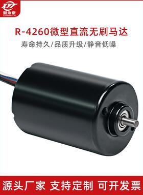 工厂直销R-4260微型直流无刷永磁减速电机大厅驱动高速电机12V24V