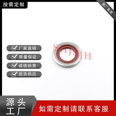 SHJH厂家直销替代Swagelok316不锈钢SS-2-RS-2B垫片ISO平行螺纹RS