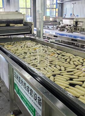 甜糯玉米加工设备 5000穗鲜食玉米生产线 玉米粒气泡喷淋清洗机