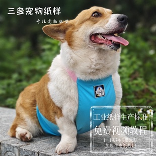 宠物肚兜图纸保暖双层护肚子防着凉围裙纸样防水防脏围兜样版 模板