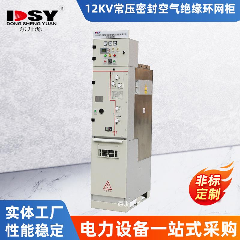 DSY-V-12kV常压密封空气绝缘环网柜 高压开关柜环网柜充气柜