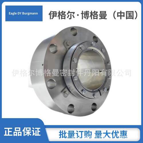 博格曼KBC/UV500制浆压力筛用机械密封SIC/SIC/VITON轴用密封