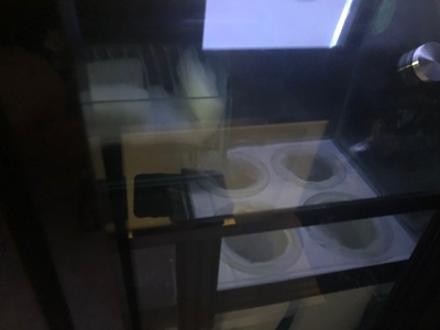 汉霸鱼缸怎么样？听说容易爆缸是吗？