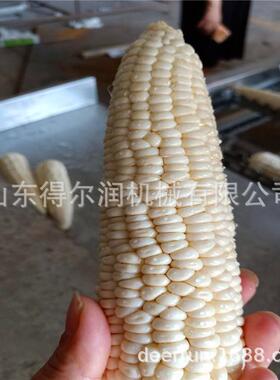 得尔润生产 即食玉米成套深加工设备 东北鲜玉米清洗蒸煮生产线