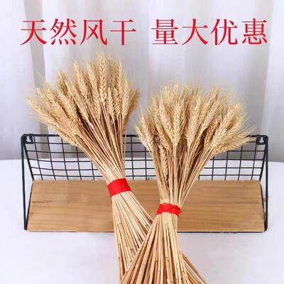 高档黄金大整麦穗大麦开业花篮天然干装花装饰花束摆插花批件发