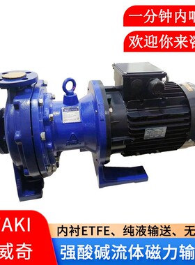 易威奇MDM系列流程内衬氟磁力泵 IWAKI耐强酸强碱ETFE及PFA磁力泵