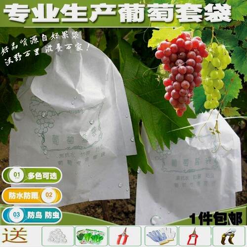 5000葡萄套袋防虫袋露天白色葡萄套袋水果套袋纸袋防雨水防虫