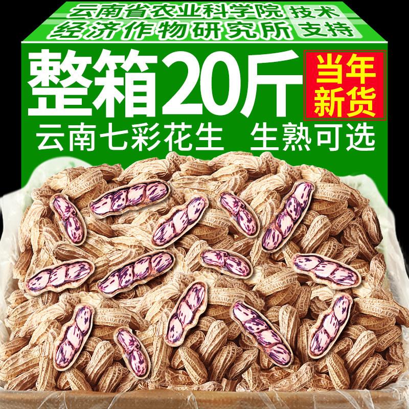 云南七彩花生新货晒干带壳熟新鲜普洱特产野地五彩牛奶花生籽