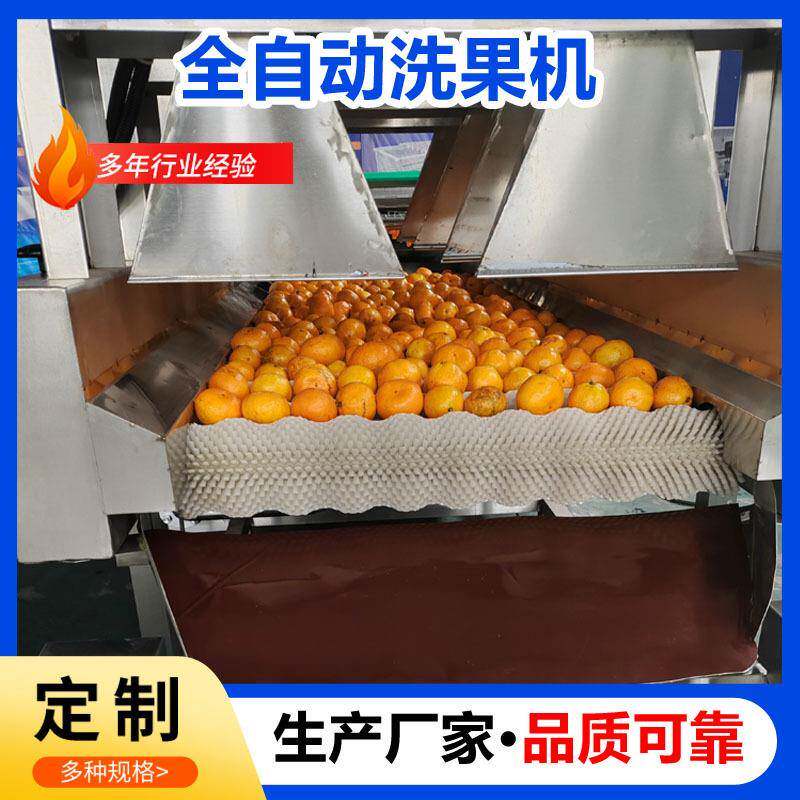 小青柑清洗机大型自动洗水果机清洗打蜡分级机整套设备柚子打蜡机