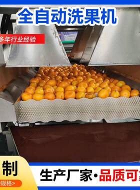 小青柑清洗机大型自动洗水果机清洗打蜡分级机整套设备柚子打蜡机