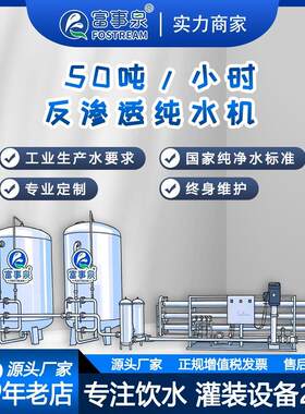 江门市生产厂家全自动50吨每小时大型工程反渗透纯净水饮用水设备