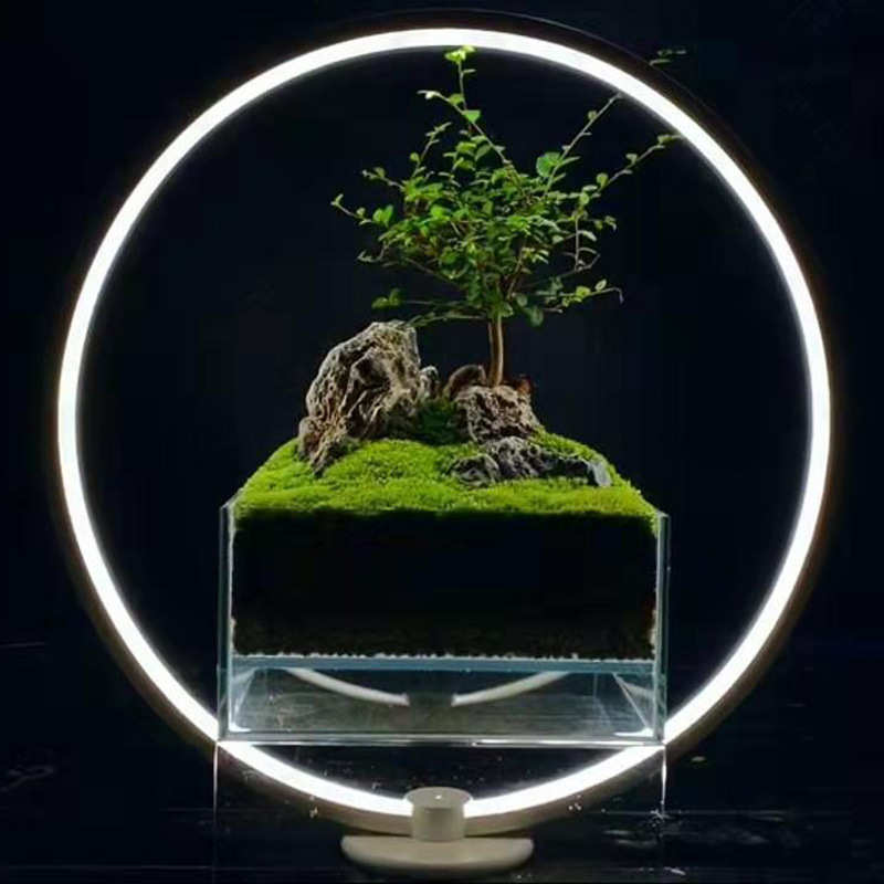 水草光灯灯迷你 景观植物灯 景观鱼缸微水族水草补彩虹led灯
