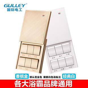 高档国际电工86型开16六功率A浴霸开关浴室风暖通用型带防水滑盖6