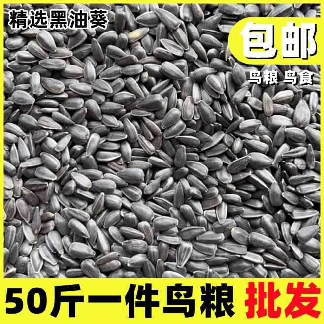 新黑油葵小瓜子25kg/50斤黑珍珠鸟粮鸟饲料虎皮玄凤鹦鹉鸽粮仓鼠