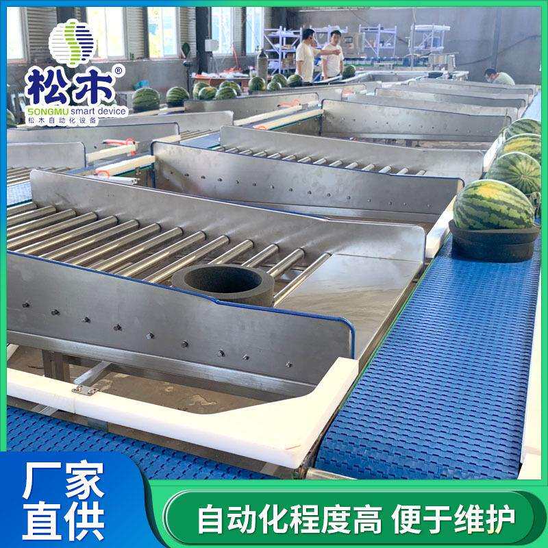 西瓜哈密瓜重量分选机瓜果分级秤分选流水线配套瓜托智能智能分选
