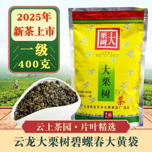2025新茶大栗树曲毫碧螺春茶叶一级400g大理云龙绿茶明前春茶浓香