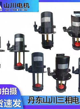沈阳中捷Z3050摇臂钻床冷却水泵丹东川120W/125W/150W/200W水泵
