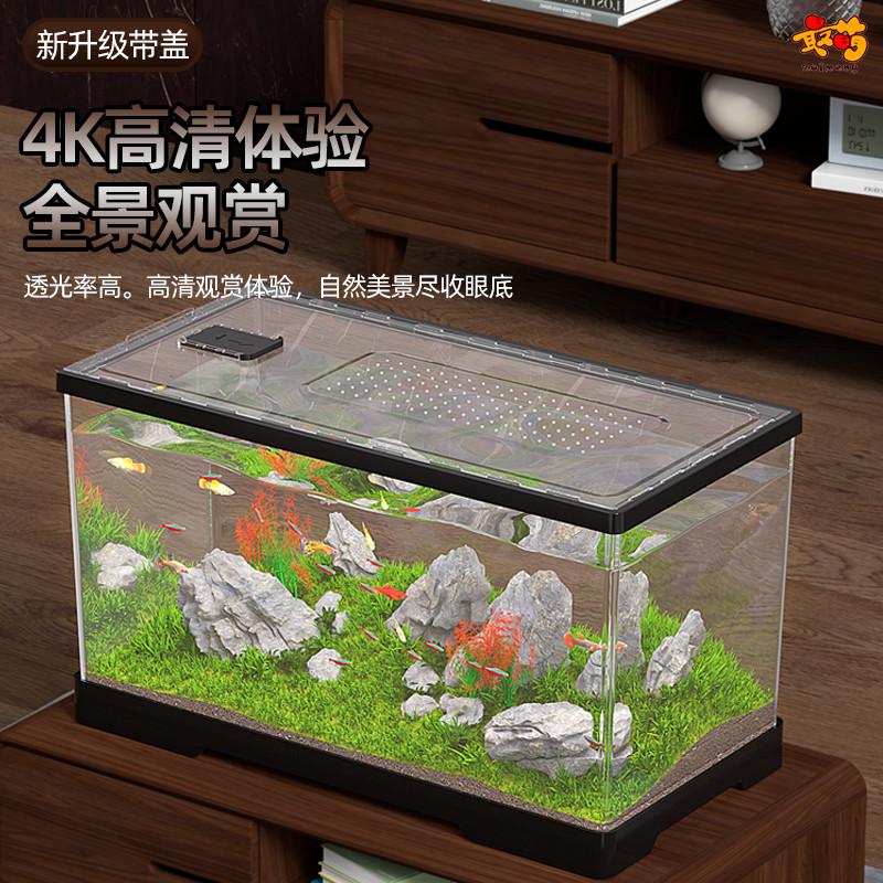 鱼缸客厅小型2025新款超白金鱼斗鱼缸亚克力桌面生态水族箱乌龟缸