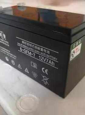 双登蓄电池6-GFM-12V7AH12AH24AH26AH38AH40AH65AH100AH120AH包