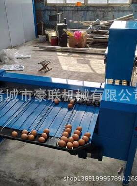 高效鸡蛋鸭蛋分级机/鸡蛋分选分拣机/自动选蛋机 产量5400枚/小时
