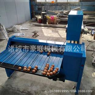 产量5400枚 自动选蛋机 小时 鸡蛋分选分拣机 高效鸡蛋鸭蛋分级机