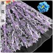 贴花lace网仙气刺绣外贸 雪花彩色树枝布料紫色布蕾丝diy面料衣服